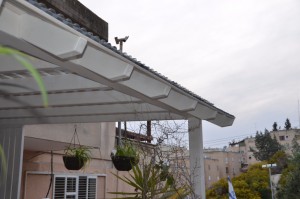 פרגולה לבנה לבית